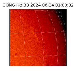 gong - 2024-06-24T01:00:02