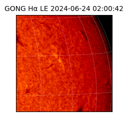 gong - 2024-06-24T02:00:42