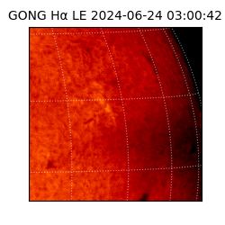 gong - 2024-06-24T03:00:42