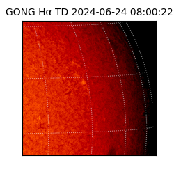 gong - 2024-06-24T08:00:22