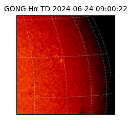 gong - 2024-06-24T09:00:22