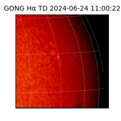 gong - 2024-06-24T11:00:22