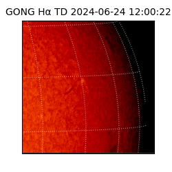 gong - 2024-06-24T12:00:22