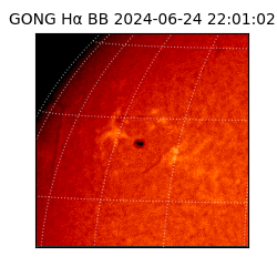 gong - 2024-06-24T22:01:02