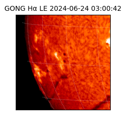 gong - 2024-06-24T03:00:42