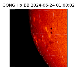 gong - 2024-06-24T01:00:02