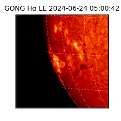 gong - 2024-06-24T05:00:42