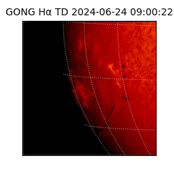 gong - 2024-06-24T09:00:22