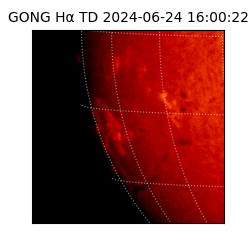 gong - 2024-06-24T16:00:22