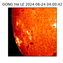 gong - 2024-06-24T04:00:42