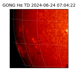 gong - 2024-06-24T07:04:22