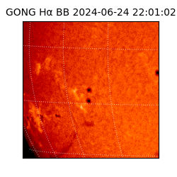 gong - 2024-06-24T22:01:02