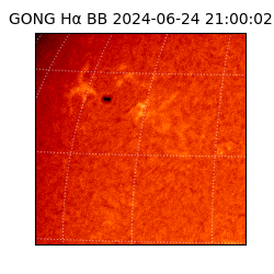 gong - 2024-06-24T21:00:02
