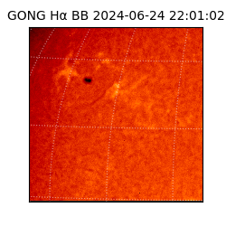 gong - 2024-06-24T22:01:02