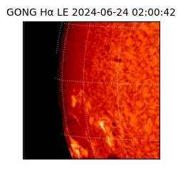 gong - 2024-06-24T02:00:42