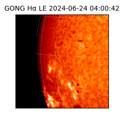 gong - 2024-06-24T04:00:42