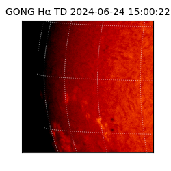 gong - 2024-06-24T15:00:22