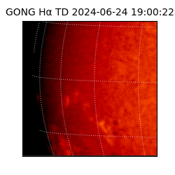 gong - 2024-06-24T19:00:22