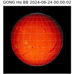 gong - 2024-06-24T00:00:02