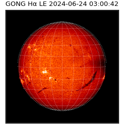 gong - 2024-06-24T03:00:42