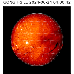 gong - 2024-06-24T04:00:42