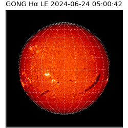 gong - 2024-06-24T05:00:42