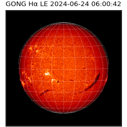 gong - 2024-06-24T06:00:42