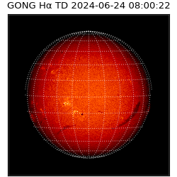 gong - 2024-06-24T08:00:22