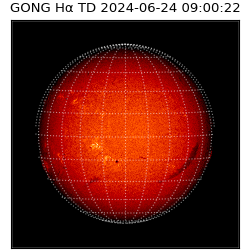 gong - 2024-06-24T09:00:22