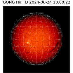 gong - 2024-06-24T10:00:22