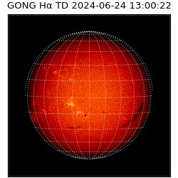 gong - 2024-06-24T13:00:22