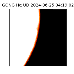 gong - 2024-06-25T04:19:02