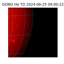 gong - 2024-06-25T09:00:22