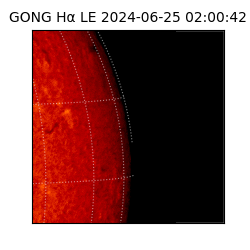 gong - 2024-06-25T02:00:42
