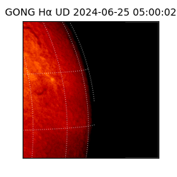 gong - 2024-06-25T05:00:02
