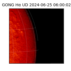 gong - 2024-06-25T06:00:02