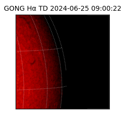 gong - 2024-06-25T09:00:22