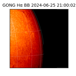 gong - 2024-06-25T21:00:02