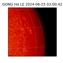 gong - 2024-06-25T03:00:42