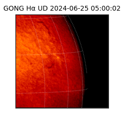 gong - 2024-06-25T05:00:02