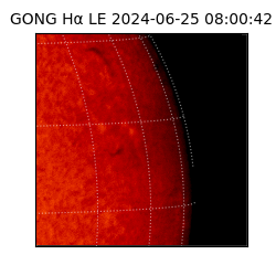 gong - 2024-06-25T08:00:42