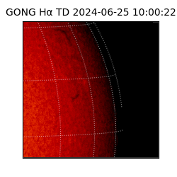 gong - 2024-06-25T10:00:22