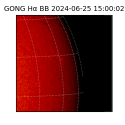 gong - 2024-06-25T15:00:02
