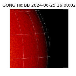 gong - 2024-06-25T16:00:02