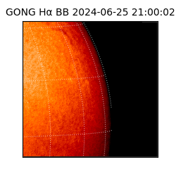 gong - 2024-06-25T21:00:02