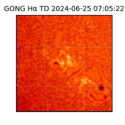 gong - 2024-06-25T07:05:22