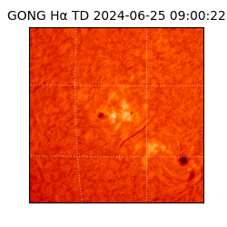 gong - 2024-06-25T09:00:22