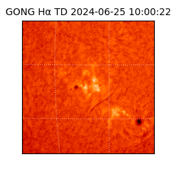 gong - 2024-06-25T10:00:22