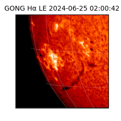 gong - 2024-06-25T02:00:42