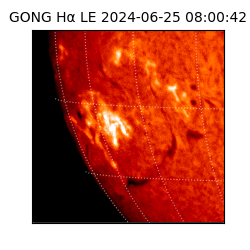 gong - 2024-06-25T08:00:42